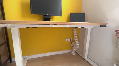 Desk cable organizer